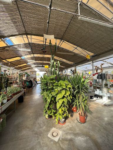 Floricoltura Tracconaglia - Thumbnail
