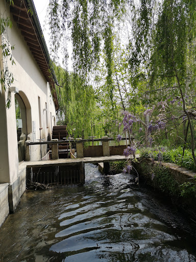 Ristorante Acquamatta (PV) - Thumbnail