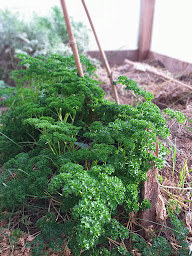 Photo n°6 de Cbon Cbio Saint Ouen en Belin à Saint-Ouen-en-Belin (Atelier collaboratif)