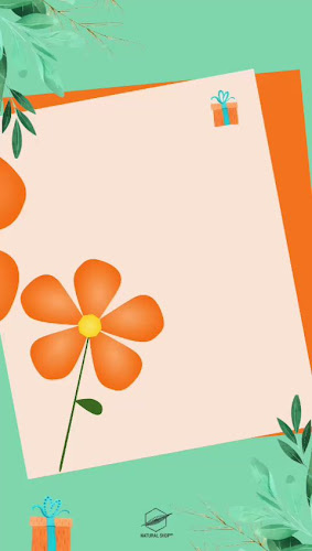 13 Rue de Metz, 31000 Toulouse