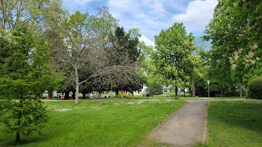 Metzler Park - Thumbnail