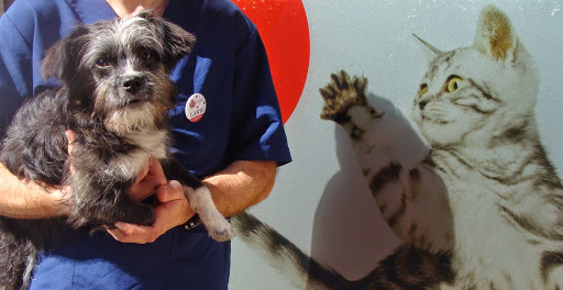 AniCura Asturpet Hospital Veterinario