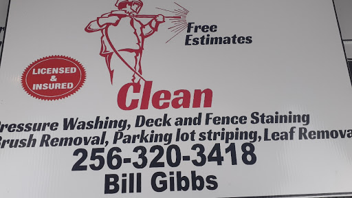 Pro Clean Services - Visual