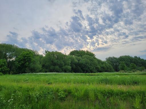 McLearon Park - Visual