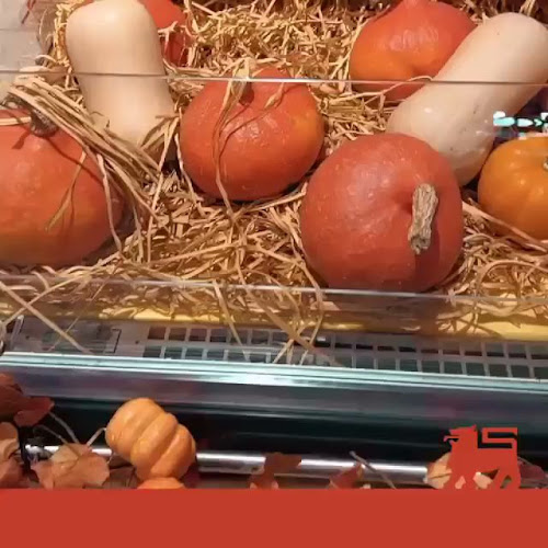 https://www.delhaizegeraardsbergen.be/?utm_source=GMB%20Geraardsbergen&utm_medium=organisch&utm_campaign=GMB%20Delhaize%20Geraardsbergen%20website%20klik