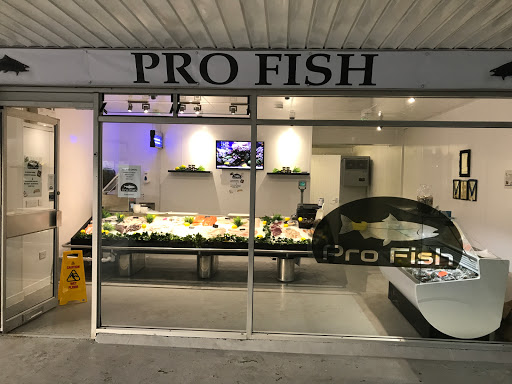 Pro Fish - Visual
