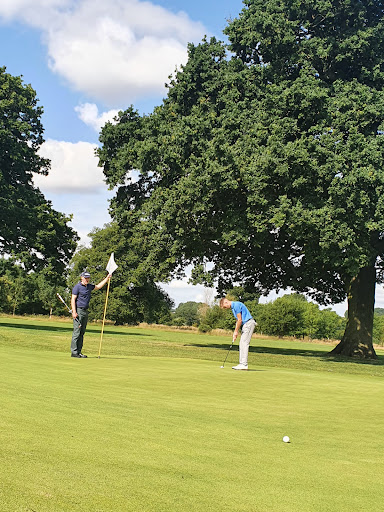 TM Golf - Visual