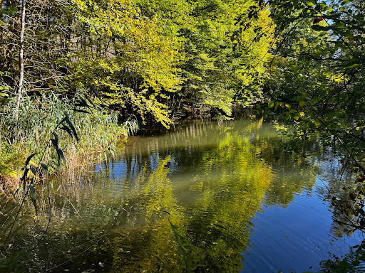 Herzbachweiher - Thumbnail