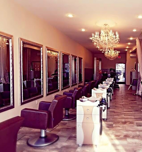 Salon Evolution - Visual
