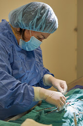 Photo n°20 de Clinique Vétérinaire Animalliance à Vitré (Vétérinaire)