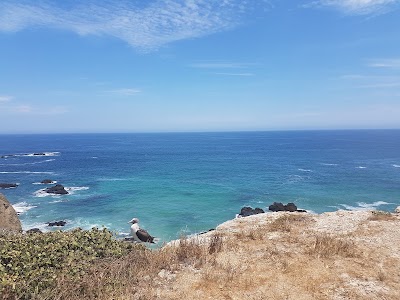 Photos of Plata Island