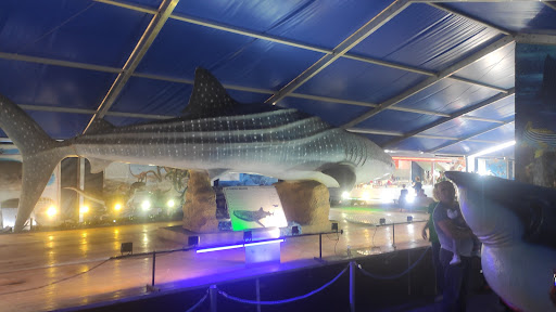 Dinoshark