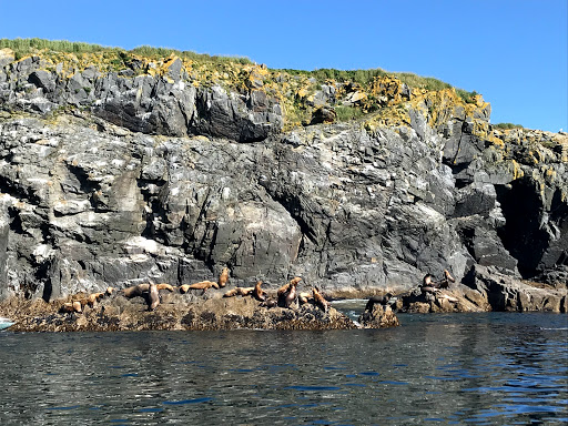 Adventures In Kodiak - Thumbnail