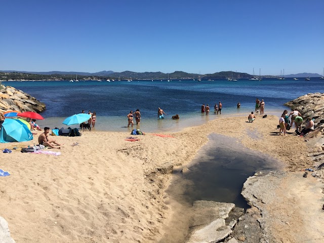 Plage Pour Chiens
