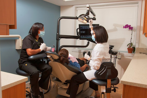 New Smile Dentistry - Husniye Dogan