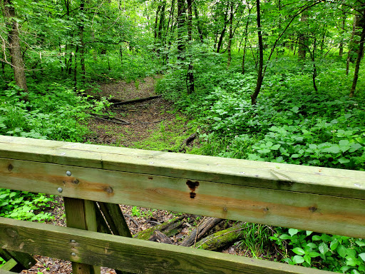 Lundy Acres - Thumbnail