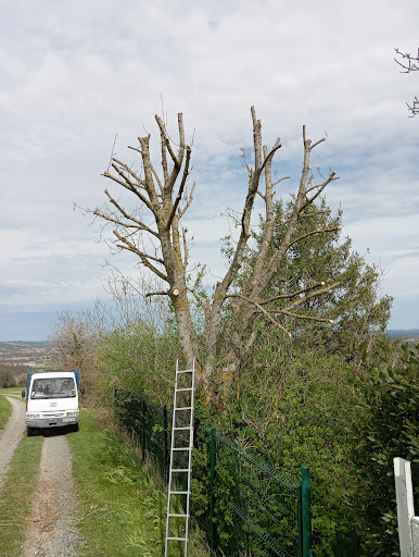 Photo de XAVIER PAYSAGE à Saint-Menoux (03210)