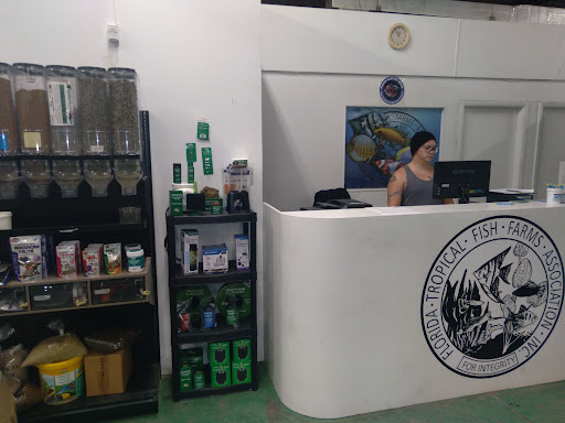 FTFFA Coop Store - Visual