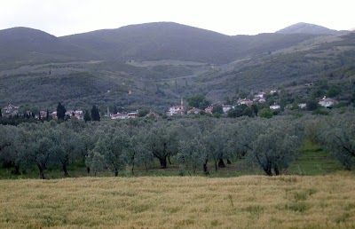 Çeltikçi Köy Muhtarlığı