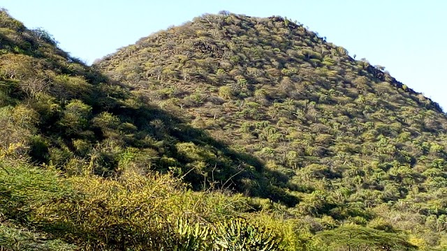 Lewa Wildlife Conservancy