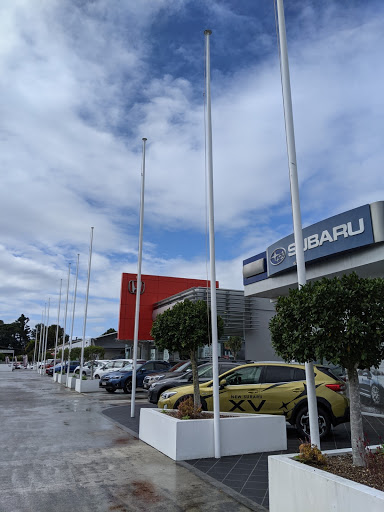Cricks Subaru - Visual