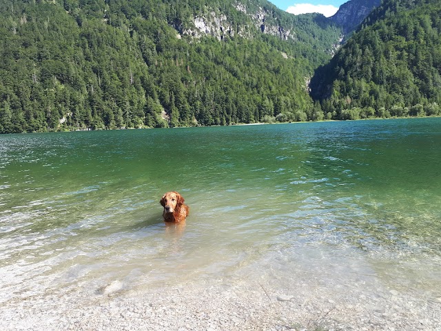 Lac de Predil