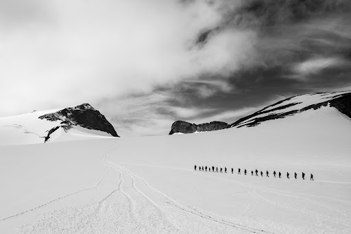Fotova - Fotograf Veronika Stuksrud