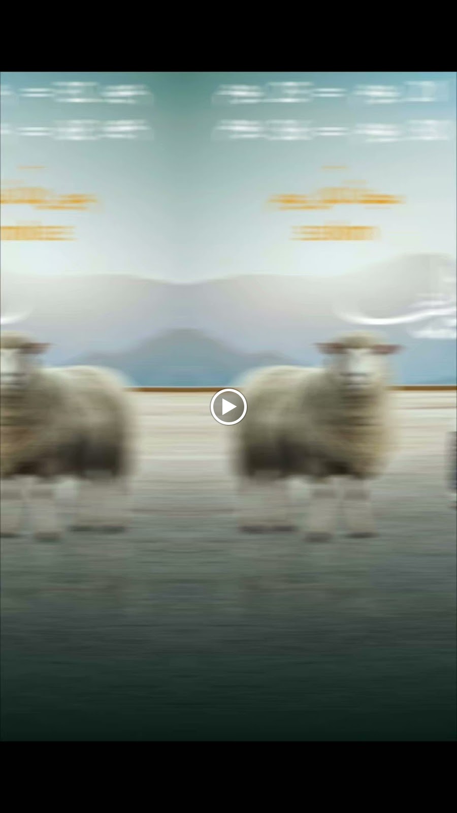 شركة الصافي لتاجير السيارات نجران - صورة 3