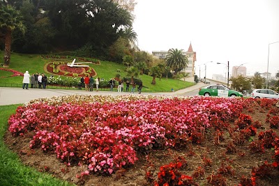 Photos of Reloj De Flores
