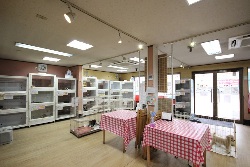 ペットショップエンゼル相模原店