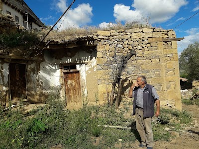 Photos of Vali Gazi Şimşek Hatıra Ormanı