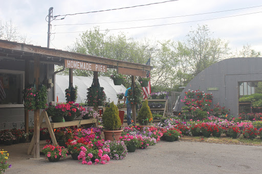 Misty Morning FarmStand & Greenhouses