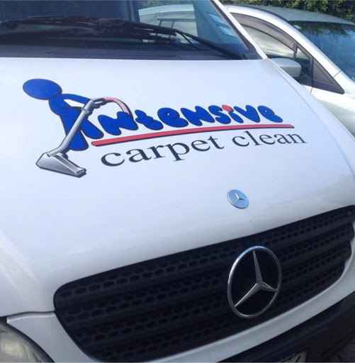 Intensive Carpet Clean Tasman - Thumbnail