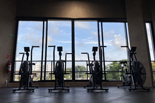 MVMT Performance Training Studio Cancun - Thumbnail