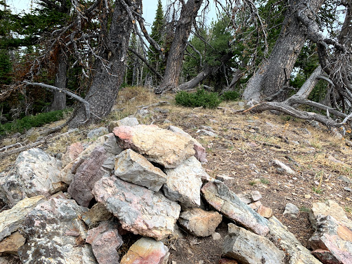 Bridger Peak Trailhead - Thumbnail