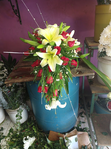 Floreria Eden