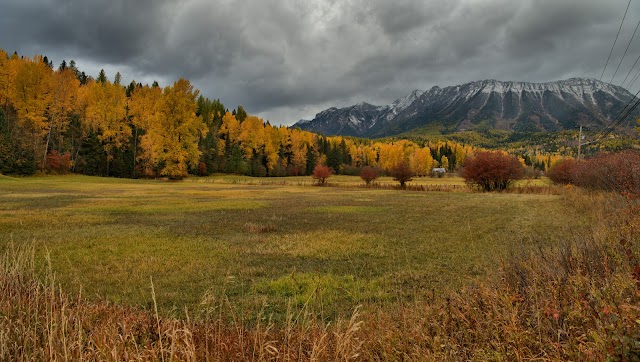 Fernie