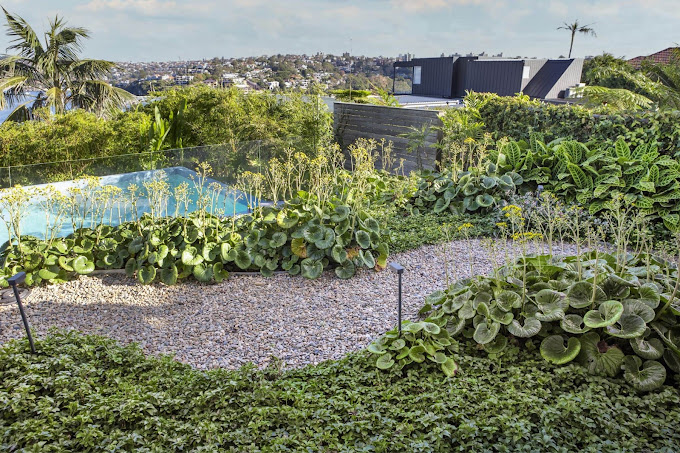 The Role of Landscaping in Sydney's Urban Development