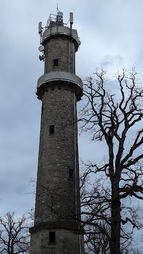 Parkplatz Buchberg Aussichtsturm - Thumbnail
