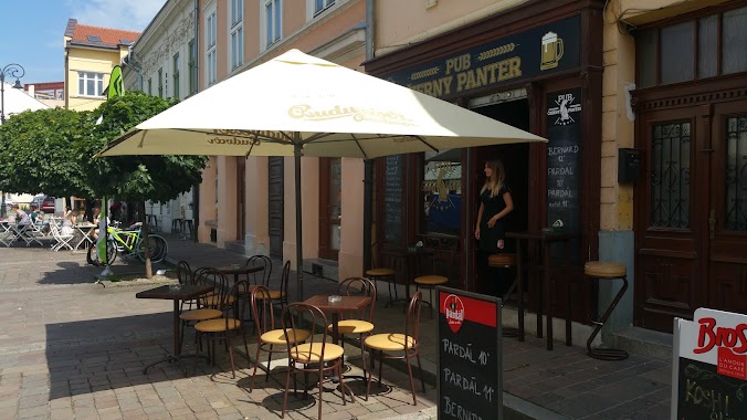 PUB Čierny Panter, Author: Palko Miczak