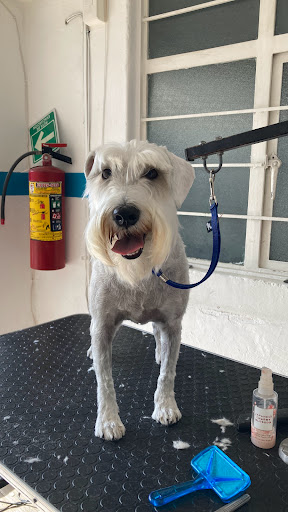 Clínica Veterinaria Ikal - Thumbnail