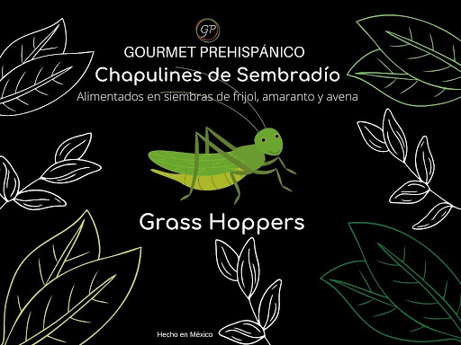 Gourmet Prehispanico