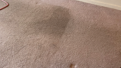 Absolute Carpet Cleaning