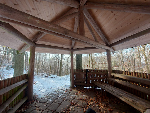 Buchwald Pavillon - Thumbnail