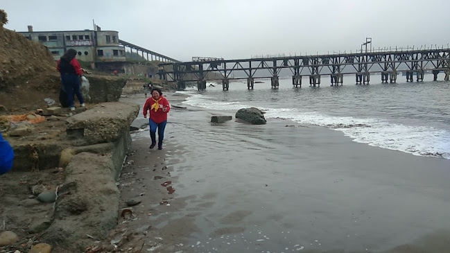 Horarios de Muelle Viejo de Lota