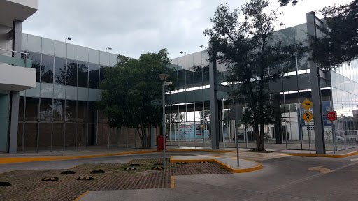 Plaza Comercial Paseo Olivos Anexo 2 - Thumbnail