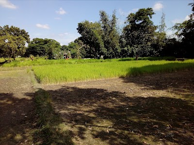 Photos of খাইয়ার ইদগাহ জামে মসজিদ