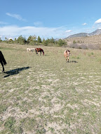 Élevage du Charuis à La Rochette-du-Buis