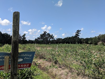 Wacahoota Farms