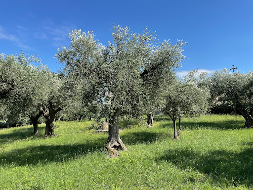 Benedictine Monastery - Visual